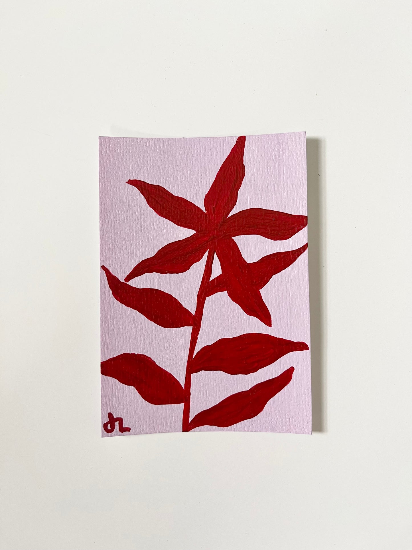 Mini Bloom 12