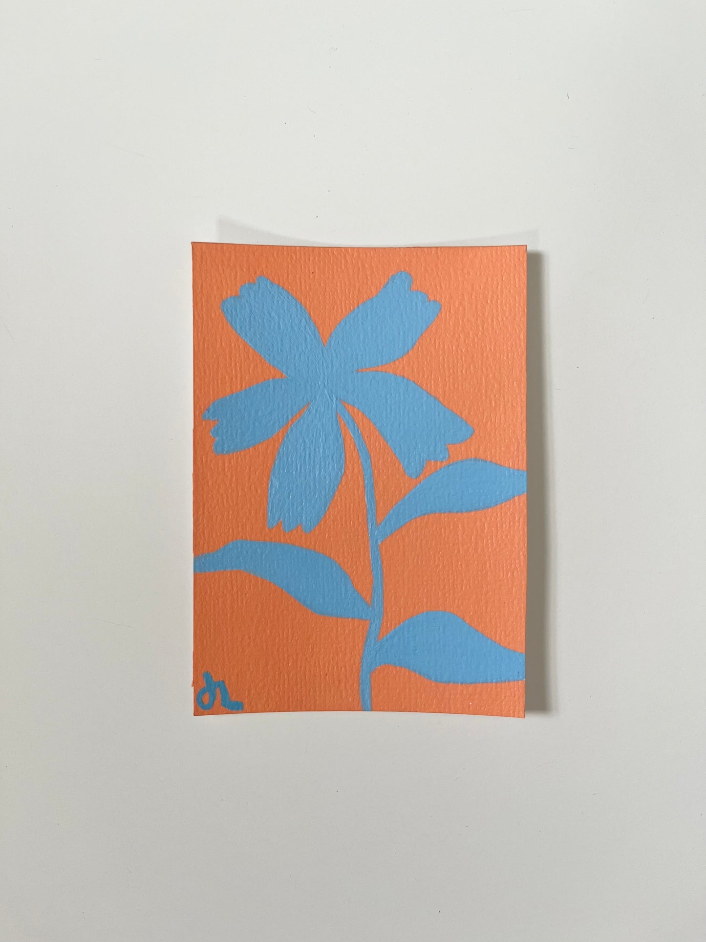 Mini Bloom 34