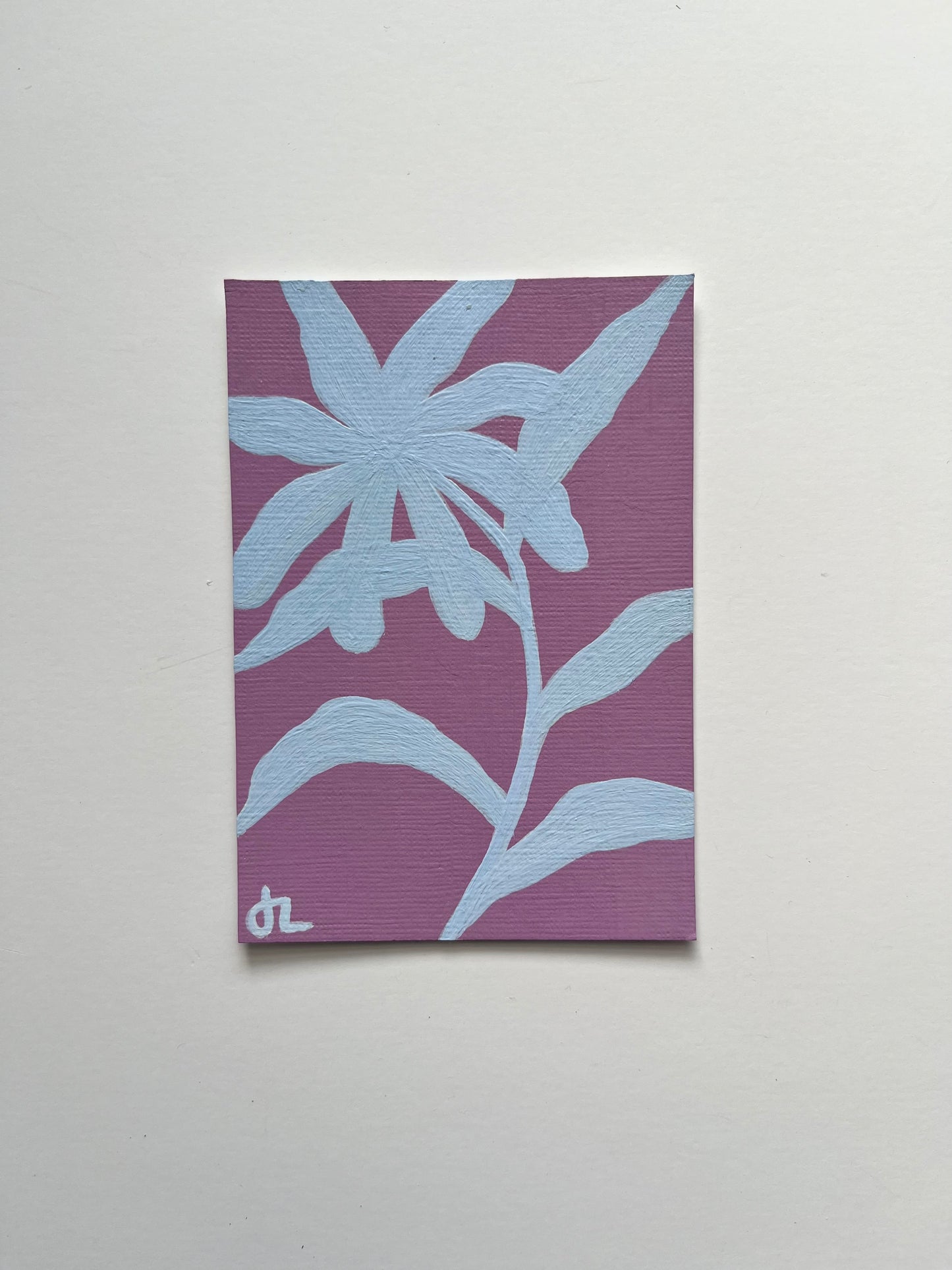 Mini Bloom 48