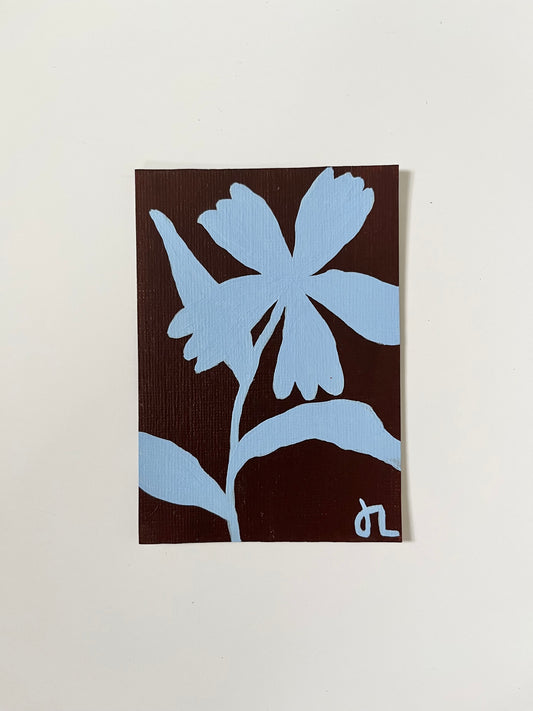 Mini Bloom 20