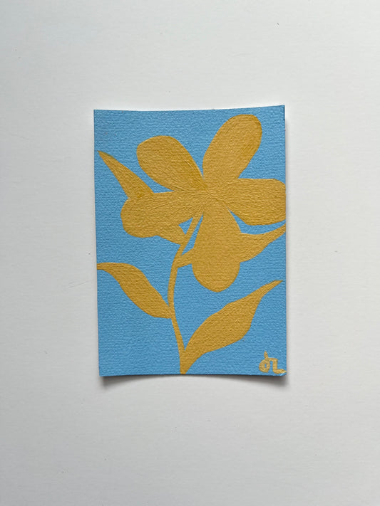 Mini Bloom 50
